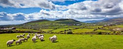 Northern Ireland